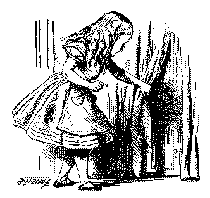 Alice and curtain