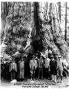 President Roosevelt with John Muir at Yosemite