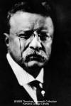 Theodore Roosevelt 1915