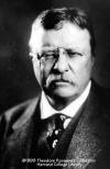 Theodore Roosevelt 1916